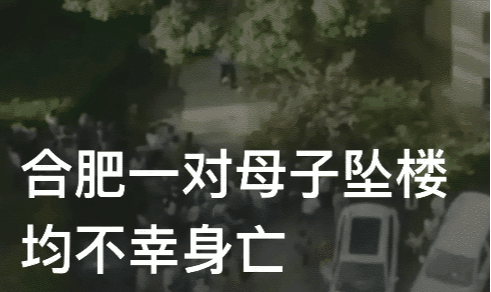 合肥一对母子坠楼均不幸当场身亡,现场惨烈