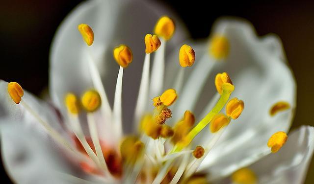 成年人的爱情,或被现实击败,或成就真正成熟的爱情