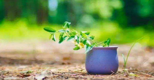 世间本无事,庸人自扰之的图片 世间本无事,庸人自扰之