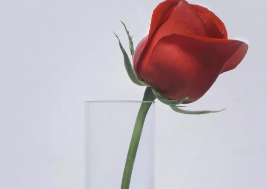 一次手术让我想起好多未了的事情的图片 一次手术让我想起好多未了的事情