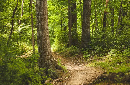 快乐的胡达古拉(九十五)的图片 快乐的胡达古拉(九十五)