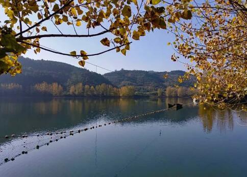 情洒傥水河,醉吟朱鹮湖的图片 第1张 情洒傥水河,醉吟朱鹮湖