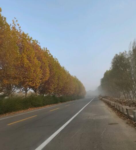 我的表姐夫的图片 我的表姐夫