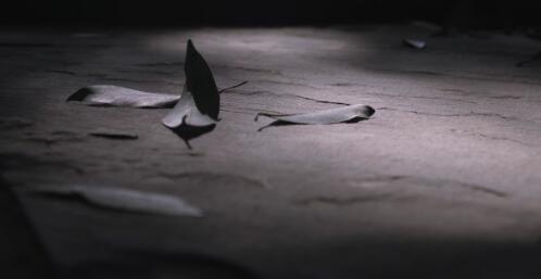 记录生活,发现美好的图片 记录生活,发现美好