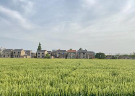 小小说:微信运动的图片 小小说:微信运动