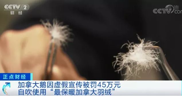 东北有个名菜“铁锅炖大鹅”的图片 东北有个名菜“铁锅炖大鹅”