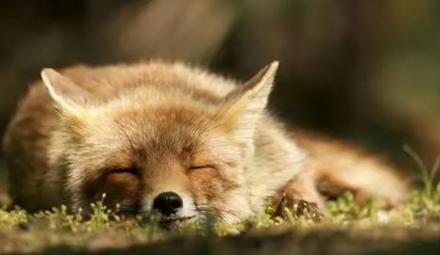 别想重来的图片 别想重来