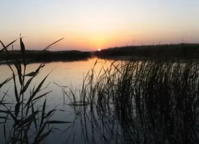 警察节想起当年的一些趣事儿的图片 警察节想起当年的一些趣事儿