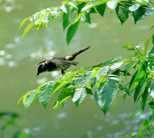 五月，生活小记