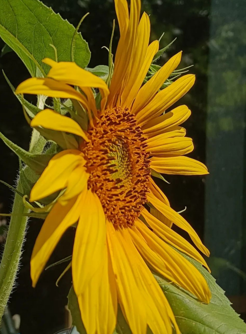 对于雨 我们心有余悸的图片 对于雨 我们心有余悸