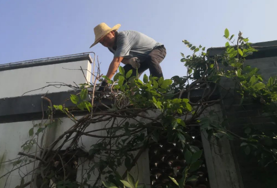 蝴蝶飞过沧海,没有人知道翅膀下面的伤的图片 蝴蝶飞过沧海,没有人知道翅膀下面的伤