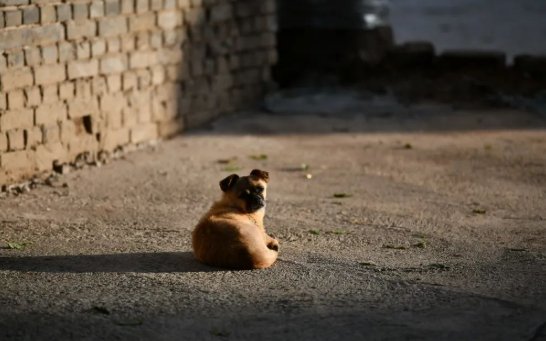官道时光的图片 官道时光