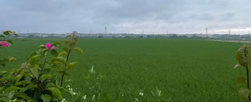 七夕节快乐呀的图片 七夕节快乐呀