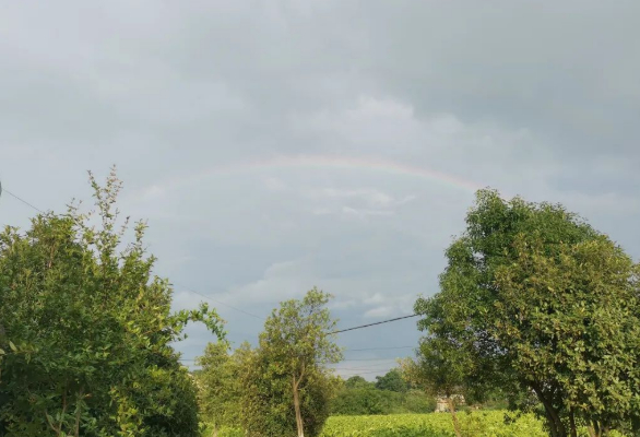 留影二三事的图片 留影二三事