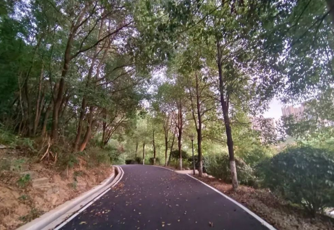 生活就是泥沙俱下,鲜花和荆棘并存的图片 生活就是泥沙俱下,鲜花和荆棘并存