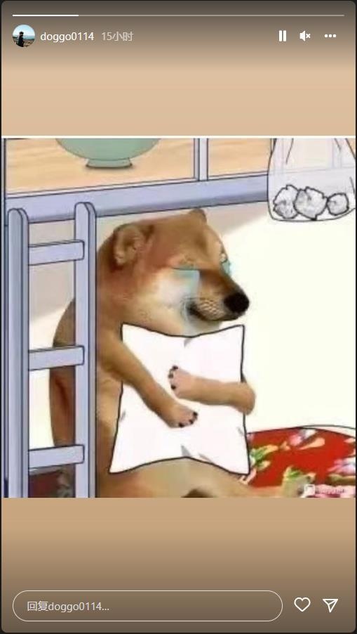 昨日BLG不敌V5后，BLG下路Doggo更新ins：哭泣小狗?