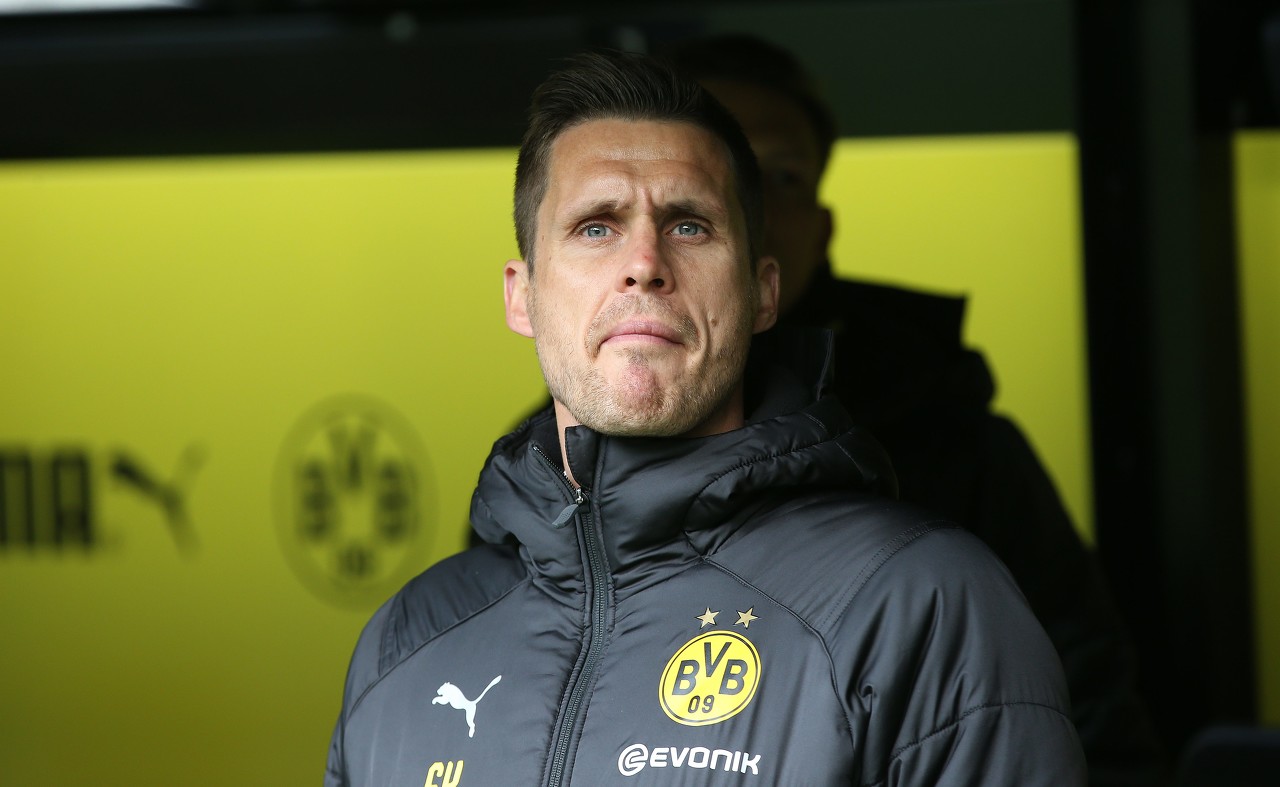 凯尔:分析上赛季情况后决定签传统中锋,莫德斯特头球很强