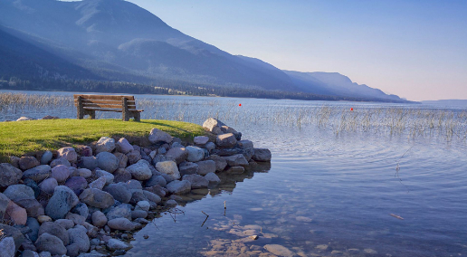 见好就收,不必发疯的图片 见好就收,不必发疯