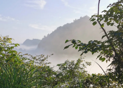 心尖上的家乡!的图片 心尖上的家乡!