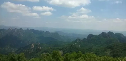 半睁老眼看夏花的图片 半睁老眼看夏花