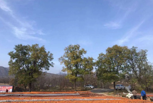 和万荣人在一起