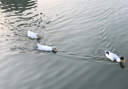 人这一生啊的图片 人这一生啊