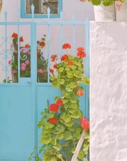 你的样子的图片 你的样子