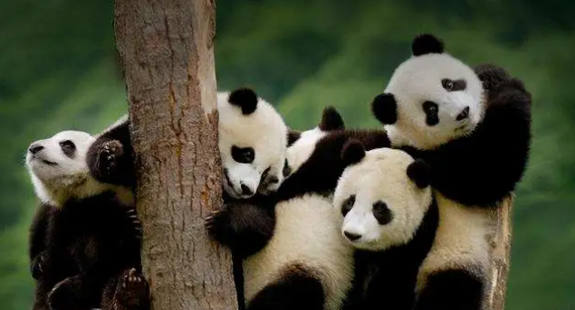 骨子里的自卑不是单眼皮眯眯眼的错的图片 骨子里的自卑不是单眼皮眯眯眼的错