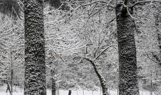 最好的一年的图片 最好的一年