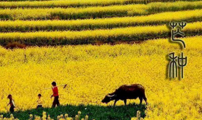 所有喜悦的未来都有一个努力耕耘的当下的图片 所有喜悦的未来都有一个努力耕耘的当下