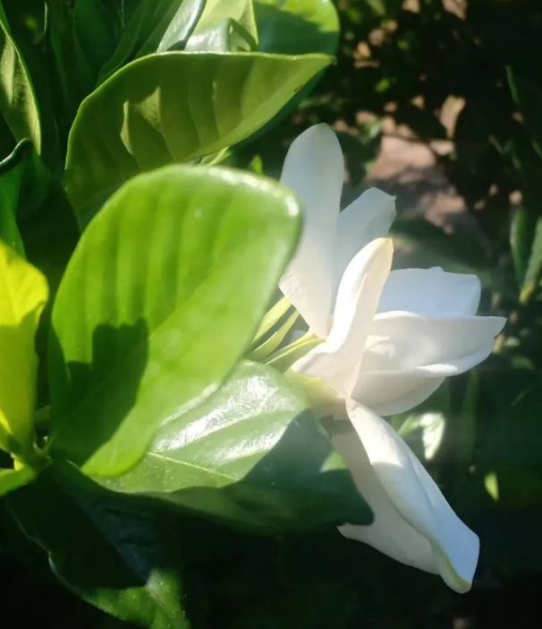 生生不息的图片 生生不息