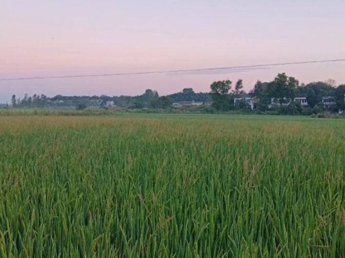 记忆里的家乡2的图片 记忆里的家乡2