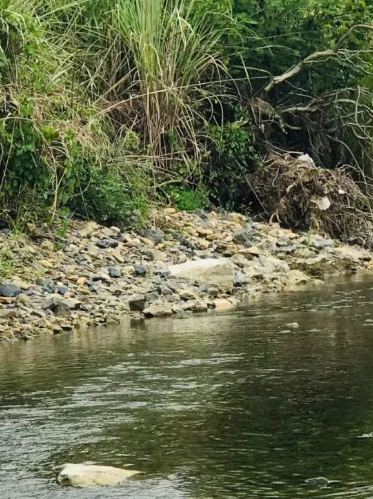 寄自青阳的赏秋“情书”,你查收了吗?的图片 寄自青阳的赏秋“情书”,你查收了吗?