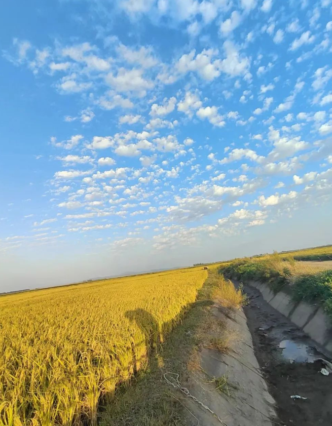 治愈的图片 治愈