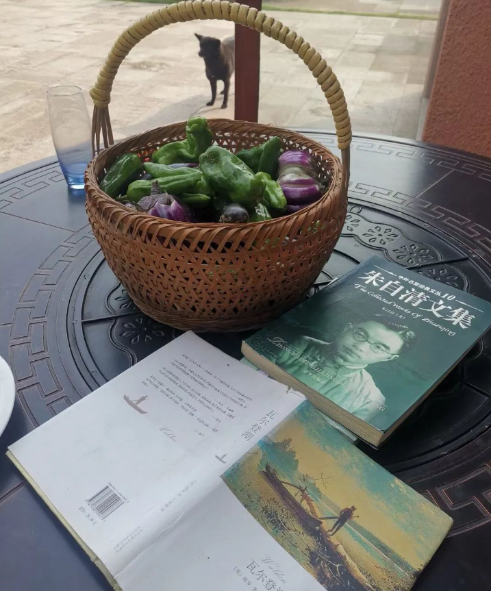 我们是一座座孤岛，会越来越孤独