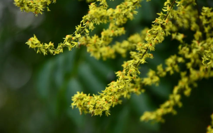 忧郁的微笑的图片 忧郁的微笑