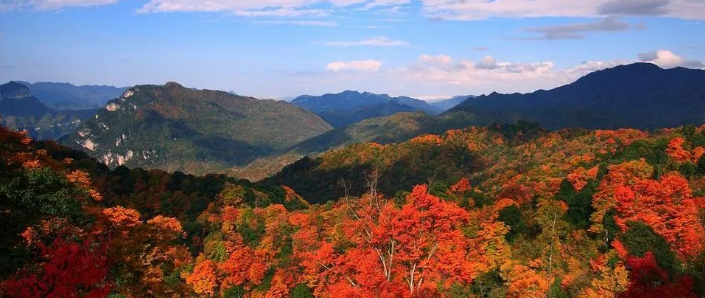 秋山奇梦的图片 秋山奇梦