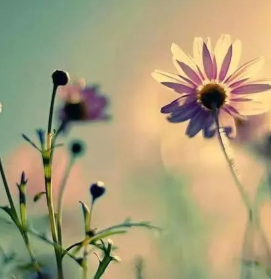 故事是给孩子最好的礼物的图片 故事是给孩子最好的礼物