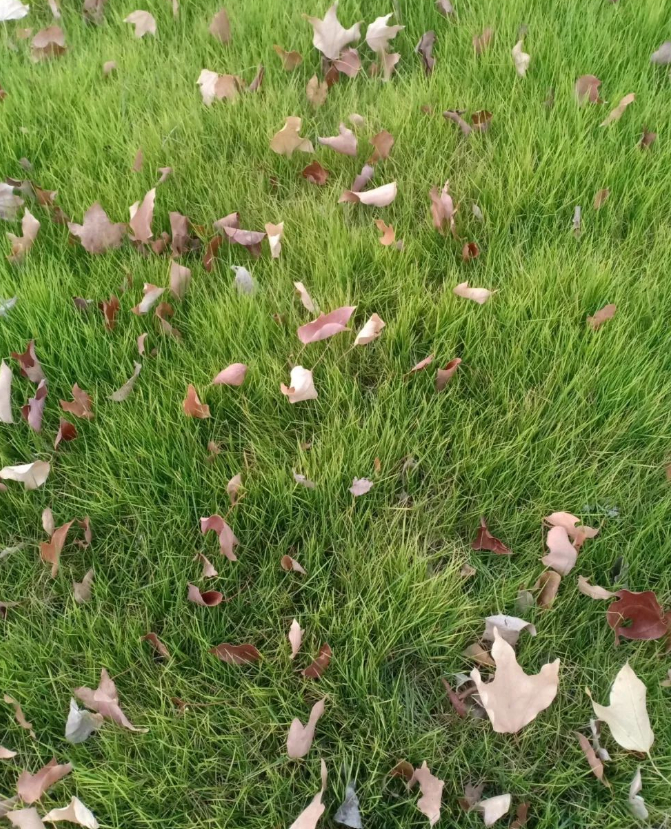 修行者的图片 修行者