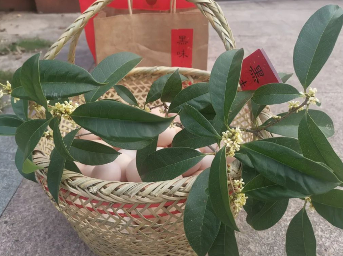 找米下锅闻见桂花香的图片 找米下锅闻见桂花香