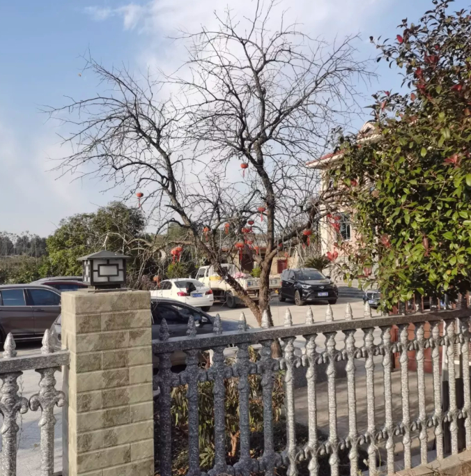 老屋记忆的图片 老屋记忆