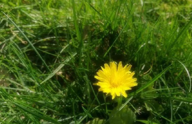 惊蛰的图片 惊蛰