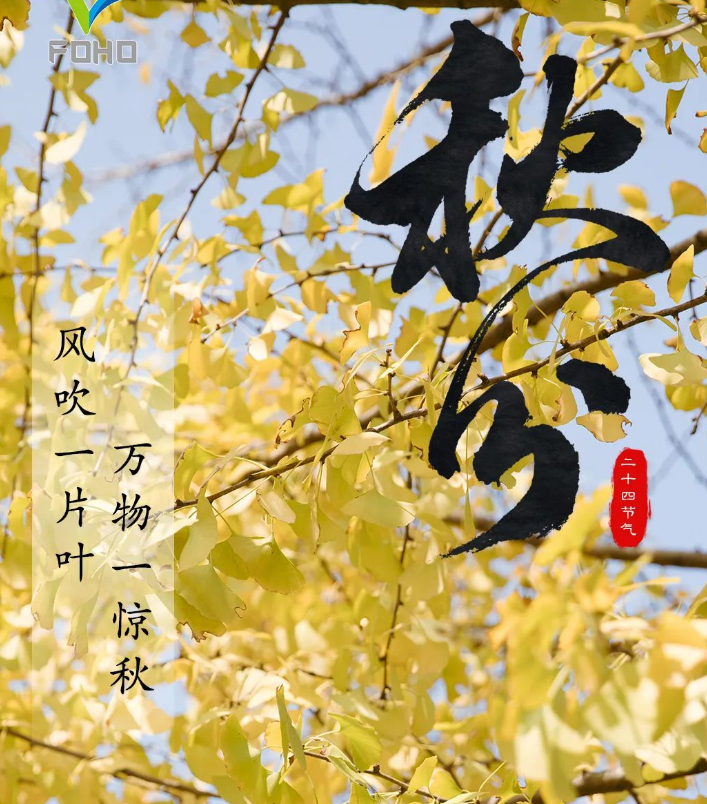 秋分,和丰收撞个满怀的图片 秋分,和丰收撞个满怀