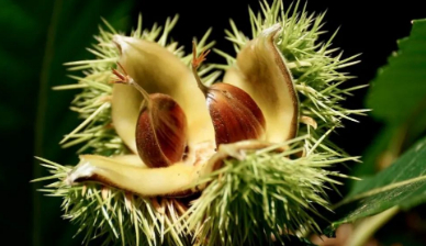 擂鼓寺记游的图片 擂鼓寺记游