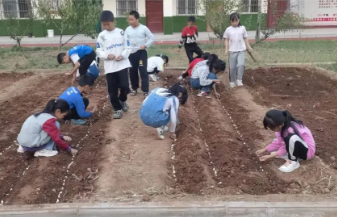 我的“诗和远方”的图片 我的“诗和远方”