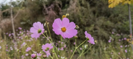 从容的人,自带光芒的图片 从容的人,自带光芒