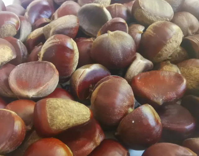 捡拾秋天的图片 捡拾秋天