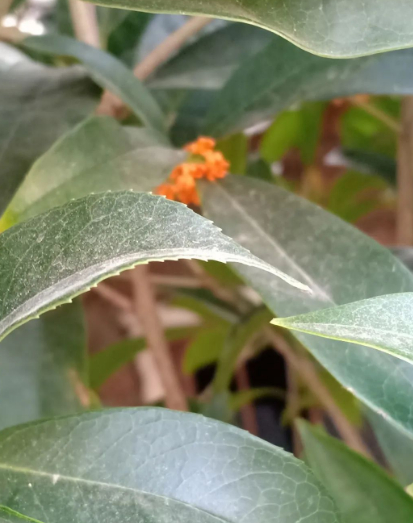 所有的样子,都是我的图片 所有的样子,都是我