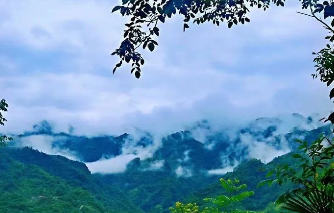 隔壁四爷的图片 隔壁四爷