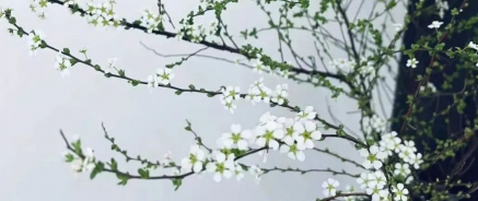 世界上最安全的地方的图片 世界上最安全的地方